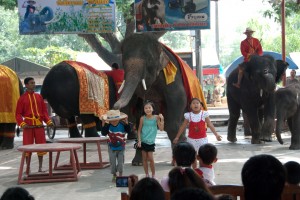 The elephants were either dancing in the background or interacting with the kids.  This one put a hat on the little boy.